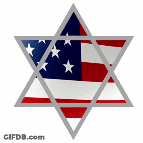 Girl Holding Star Of David And American Flag 'Israel Rocks GIF
