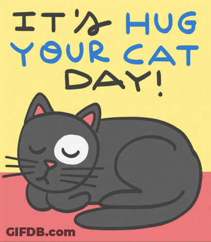 Girl Hugging Black Cat With Blue Eyes GIF