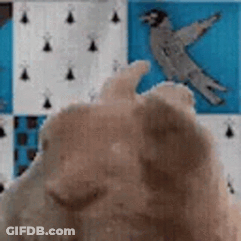 Girl I Need This Girl To Bang My Shi Asap GIF