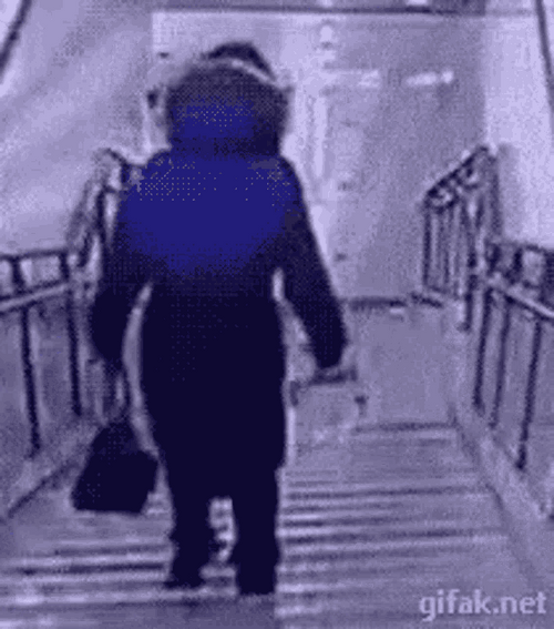 Girl In A Hurry Slipped Falling Down Stairs GIF