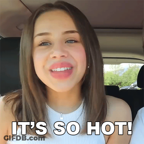 Girl In Car Saying It's So Hot GIF