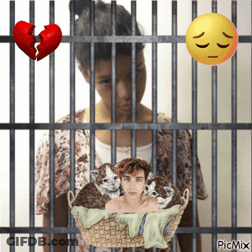 Girl In Jail Cell With Kittens And Broken Heart GIF
