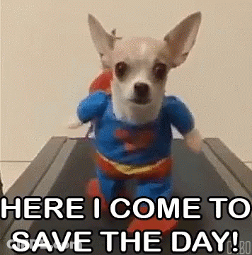 Girl In Marching Band Uniform Says You Saved My Life Today GIF