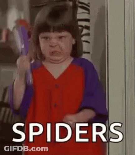 Girl In Red-And-Purple Shirt Holding Broom Making Face GIF