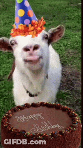 Girl In Red Sweater Raising Arms Saying Party Time GIF
