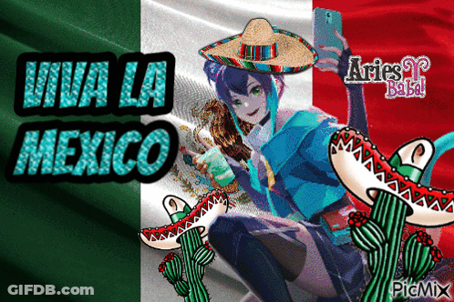 Girl In Sombrero Selfie With Mexican Flag Viva La Mexico GIF