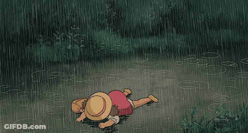 Girl In Straw Hat Lying In Rain GIF