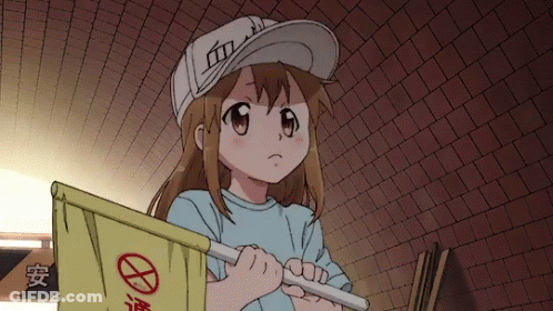 Girl In White Hat Holding Yellow Flag With Red Circle GIF