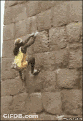 Girl In Yellow Dress Climbing Rock Wall GIF