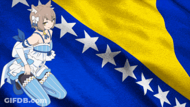 Girl Kneeling In Front Of Blue And Yellow Flag With Stars GIF