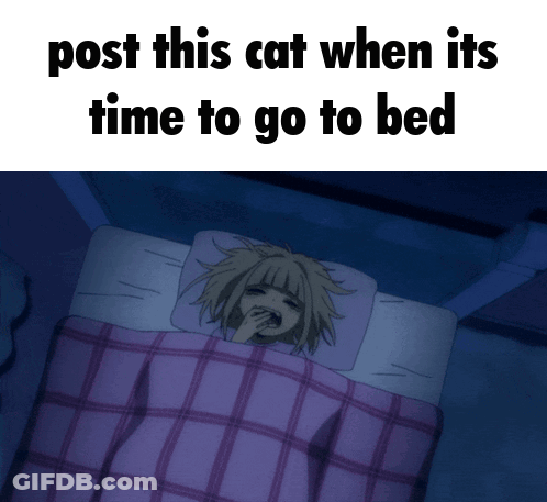 Girl Laying In Bed Post This Cat When It's Time To Go To Bed GIF
