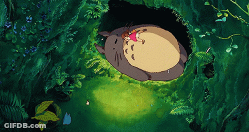 Girl Laying On Totoro In Cave GIF