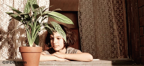 Girl Leaning On Window Sill With Plant GIF