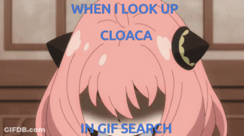 Girl Looking Up With Cloaca Gif Search GIF