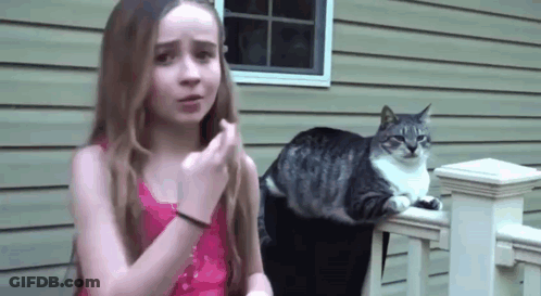 Girl Next To Cat On Porch GIF