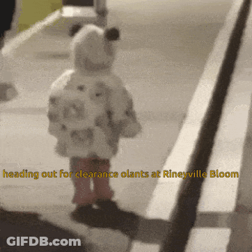 Girl On Sidewalk Saying Heading Out For Clearance Plants At Rineyville Bloom GIF
