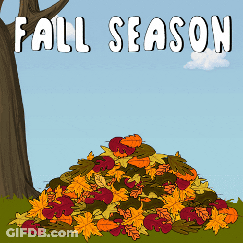 Girl Penguin On Leaf Fall Season GIF