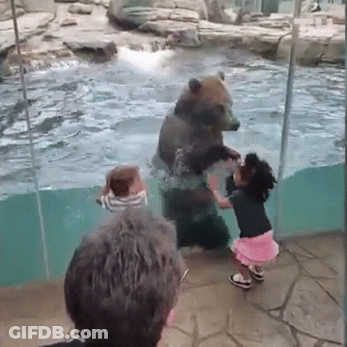 Girl Reaching Toward Bear In Pool GIF