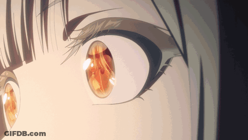 Girl's Eye Reflection Of Person GIF