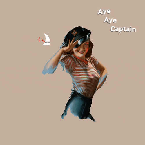 Girl Saying Aye Aye Captain GIF