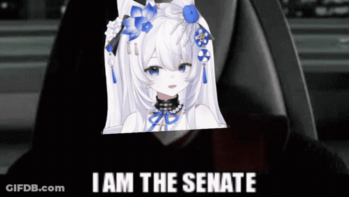 Girl Saying I Am The Senate GIF