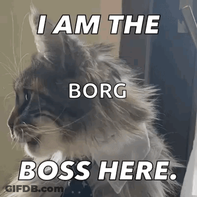 Girl Saying Sorry It's Egg Time To Boy GIF