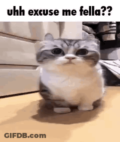 Girl Saying Well The Decision Is Yours GIF