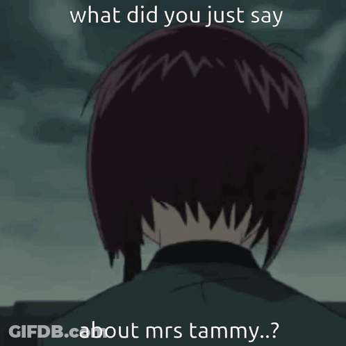 Girl Saying What Did You Just Say About Mrs Tammy GIF