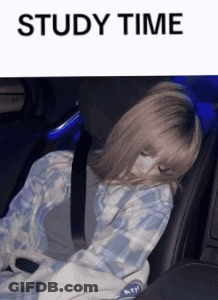 Girl Sleeping In Car Saying Study Time GIF