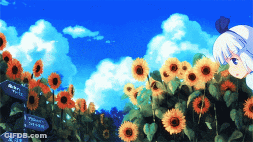 Girl Standing In Sunflower Field With Aoi Sign GIF