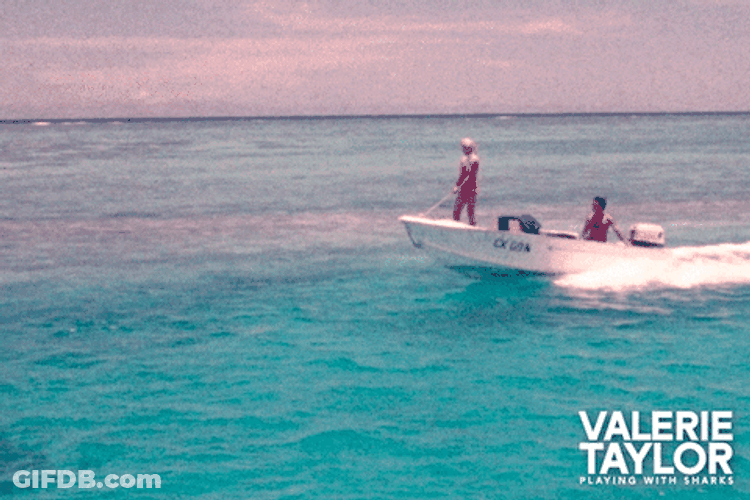 Girl Stands In Front Skiff GIF
