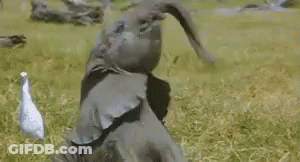 Girl Surrounded By Autumn Leaves Happy Monday Try To Have Fun At School GIF