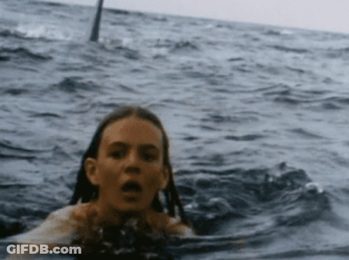Girl Swimming In Ocean Behind Shark GIF