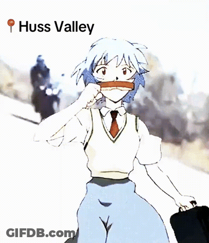 Girl With Bandage Saying Huss Valley GIF