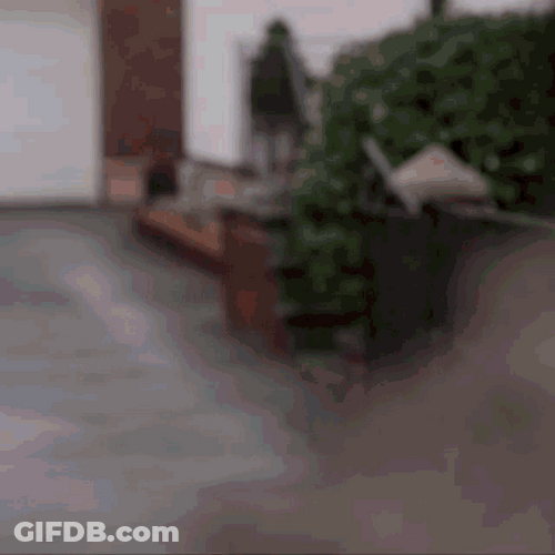 Girl With Bonnet Peeking GIF