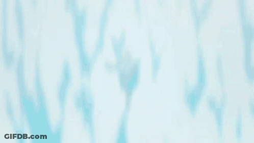 Girl With Bow Tie Close Up GIF