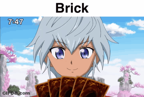 Girl With Brick On Top GIF