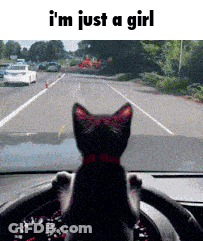 Girl With Cherry In Hair Says Im Just A Girl GIF