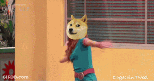 Girl With Doge Head GIF