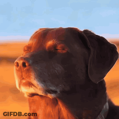 Girl With Eye Bandage Saying Don't Make Me Unleash My Alpha GIF