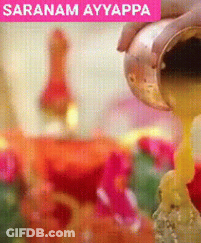 Girl With Flower In Hair And Rise And Shine Shirt GIF