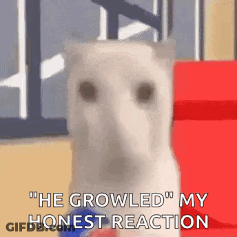 Girl With Glasses And Green Hat Mods Crush His Skull Thank You GIF