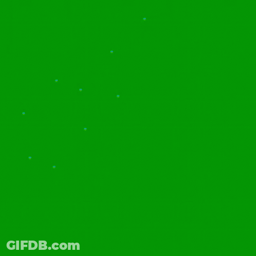 Girl With Green Hair Standing Next To Camel GIF