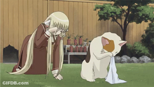 Girl With Long Blonde Hair Kneeling Next To Cat GIF