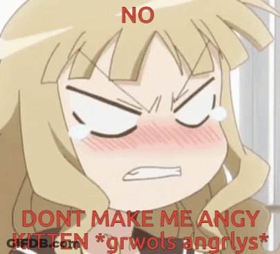Girl With Mouth Open No Dont Make Me Angry Kitten GIF