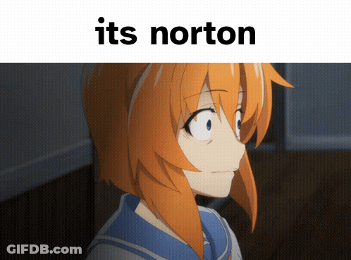 Girl With Orange Hair Its Norton GIF