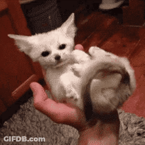 Girl With Pink Hair And Boy With Brown Hair GIF