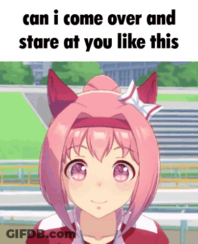 Girl With Pink Hair And Ears Can I Come Over And Stare At You Like This GIF