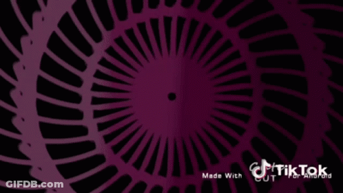 Girl With Teddy Bear On Head Saying TikTok GIF