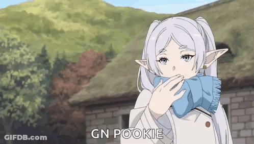 Girl With White Hair And Blue Eyes Wearing Blue Scarf Says Gn Pookie GIF
